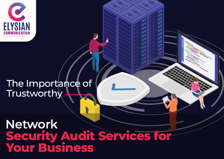 Network Security Audit Services