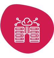 Network Infrastructure | Elysian Communication