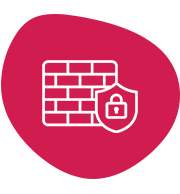 Network Infrastructure | Elysian Communication