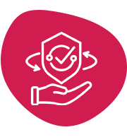 IT Auditing | Elysian Communication