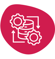 IT Auditing | Elysian Communication